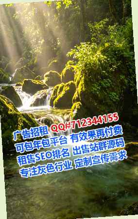 高陵生子网络工作室